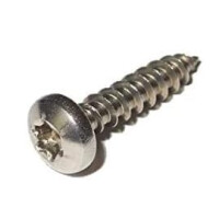 ABV Blechschraube Linsenkopf DIN7981, ISO7049, verzinkt, TX, 4,8x32 mm, Paket 1000 Stück