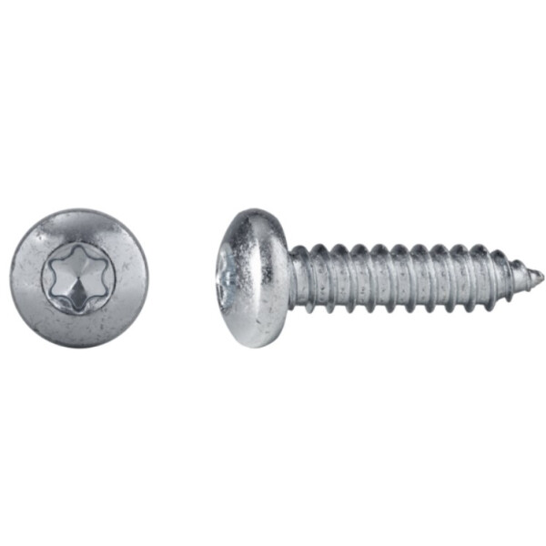 Blechschraube Linsenkopf ähnlich DIN7981-C, verzinkt, TX15, 3,9x19 mm, Paket 1000 Stück