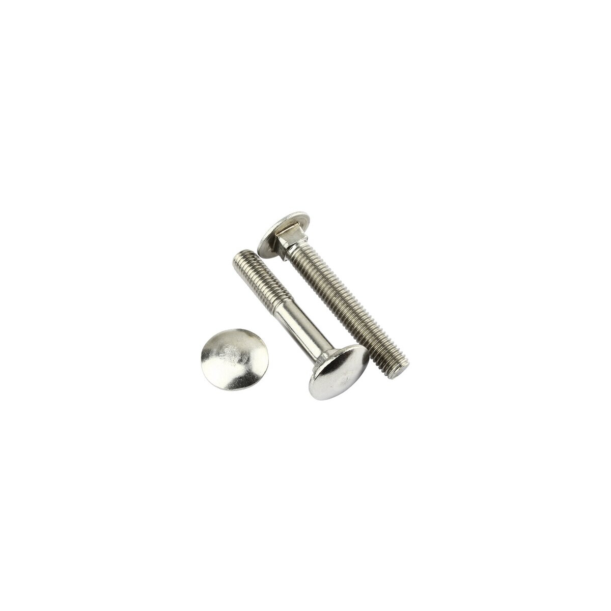 Schlossschraube/ Flachrundschraube, M6 X 50 mm, A2,...